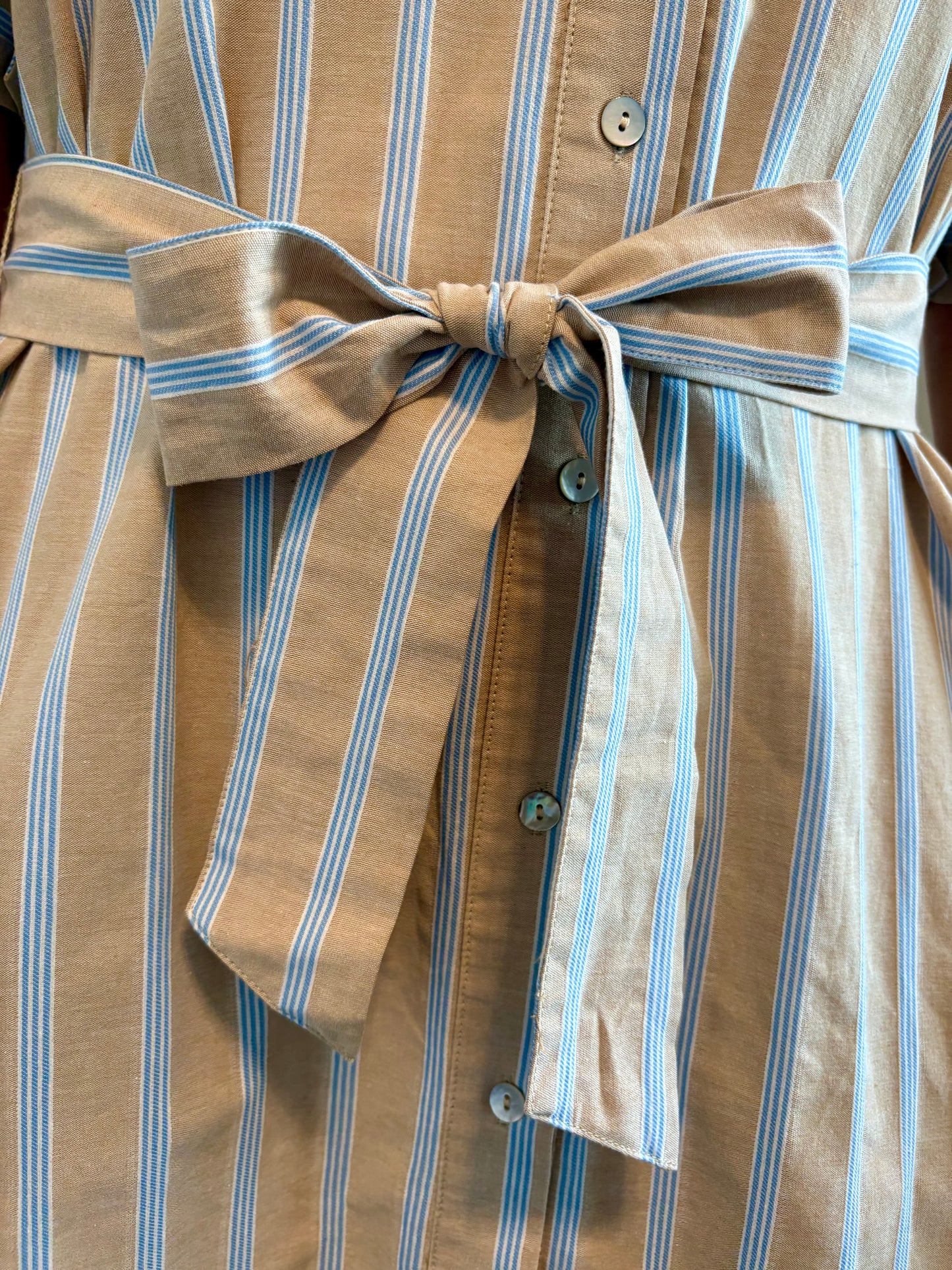 Birdie Stripe Dress