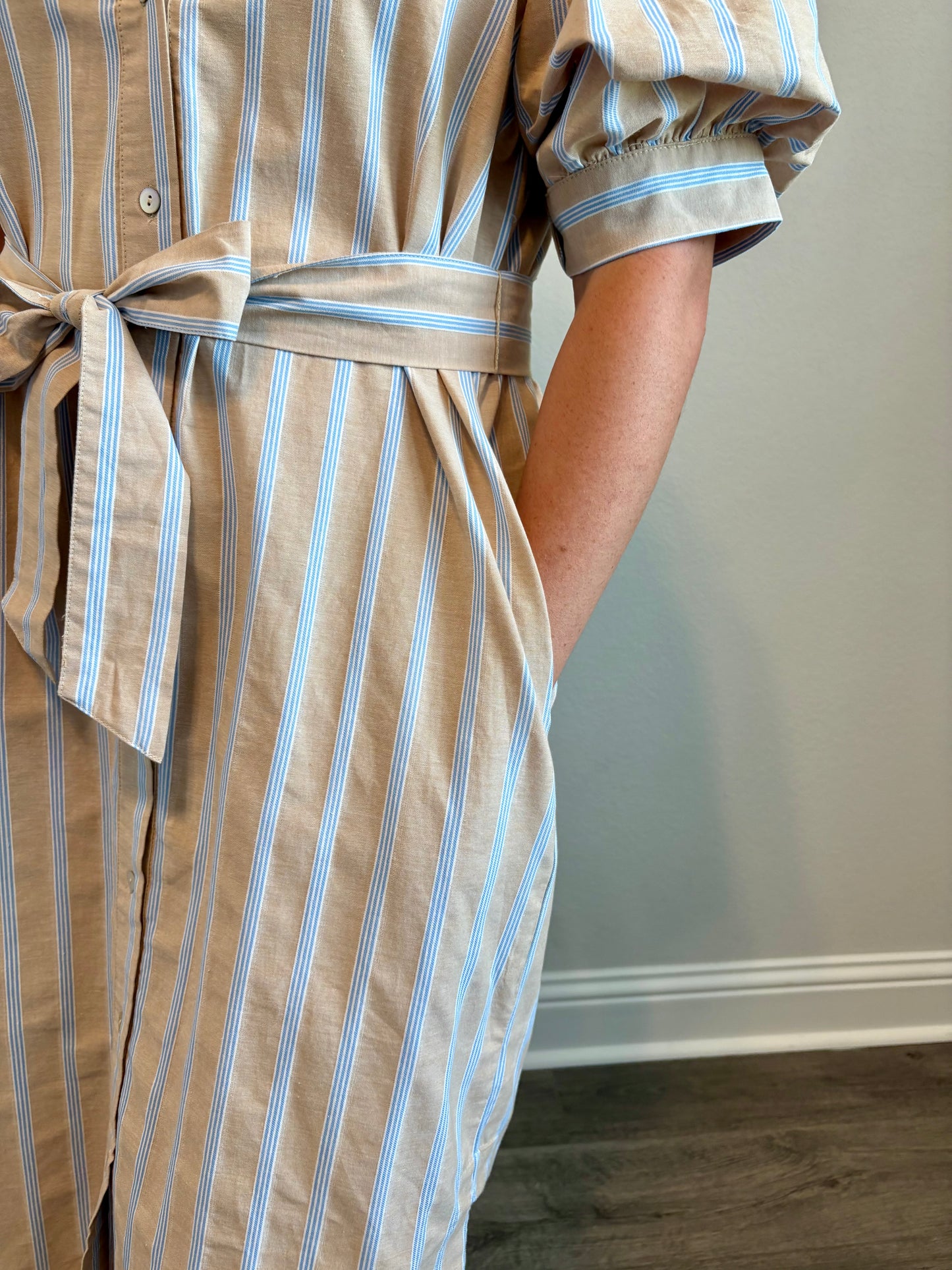 Birdie Stripe Dress