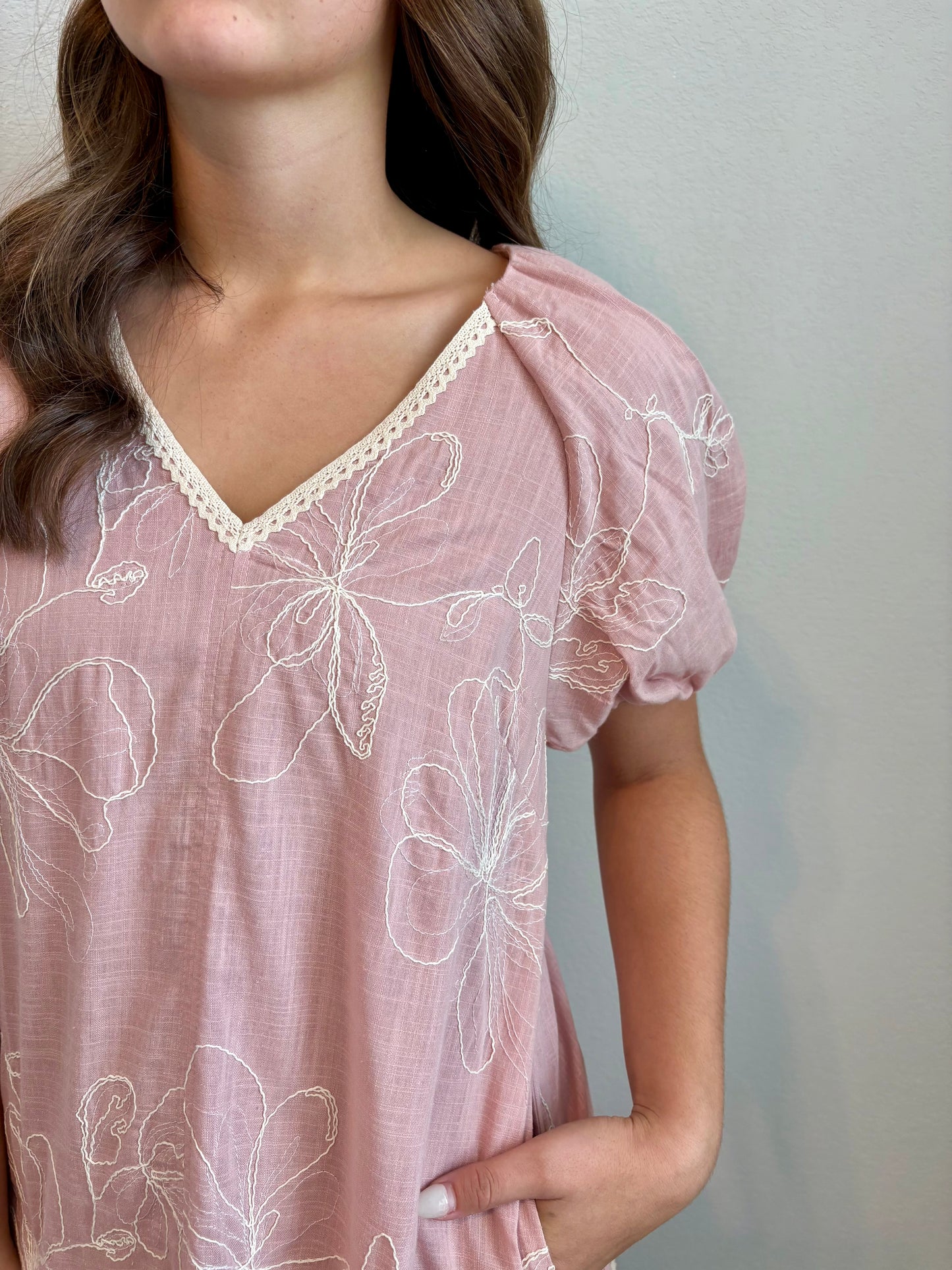 Embroidered Puff Sleeve Mini Dress